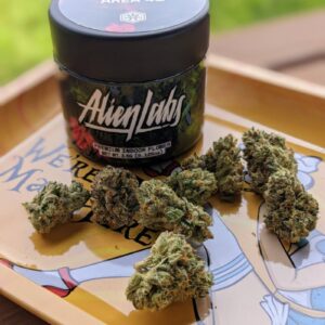 Harmony Blends (Hybrids)