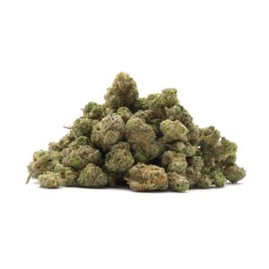 dollar treez french toast (smalls)