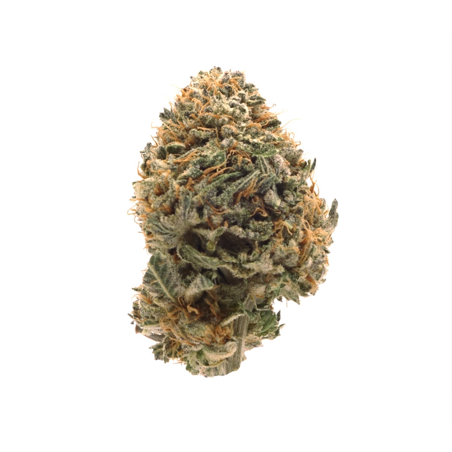 dollar treez jungle pie dollar treez jungle pie