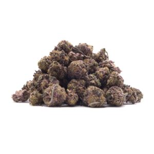 lucky farms black mamba (smalls)