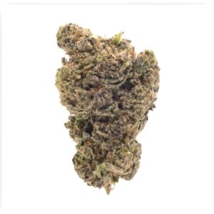 lucky farms strawberry gary